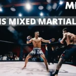 Mixed Martial Arts Near Me: Finding the Perfect Gym and Training Environment