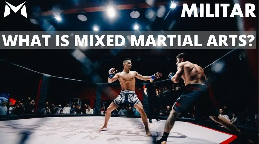 Mixed Martial Arts Near Me: Finding the Perfect Gym and Training Environment