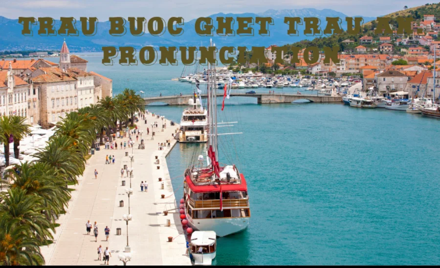 Trau-buoc-ghet-trau-an.-pronunciation-2